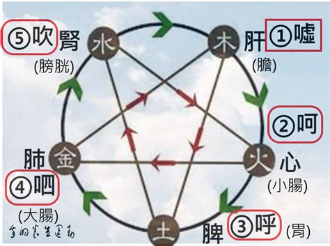 六字氣訣|《中醫詞典》解釋「六氣訣」的意思